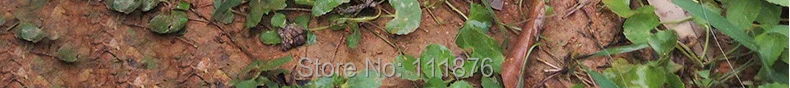 DW19-CSMN-790_15