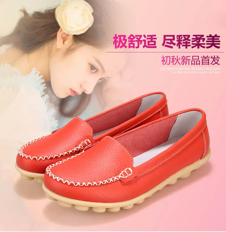 AMF-951(50)