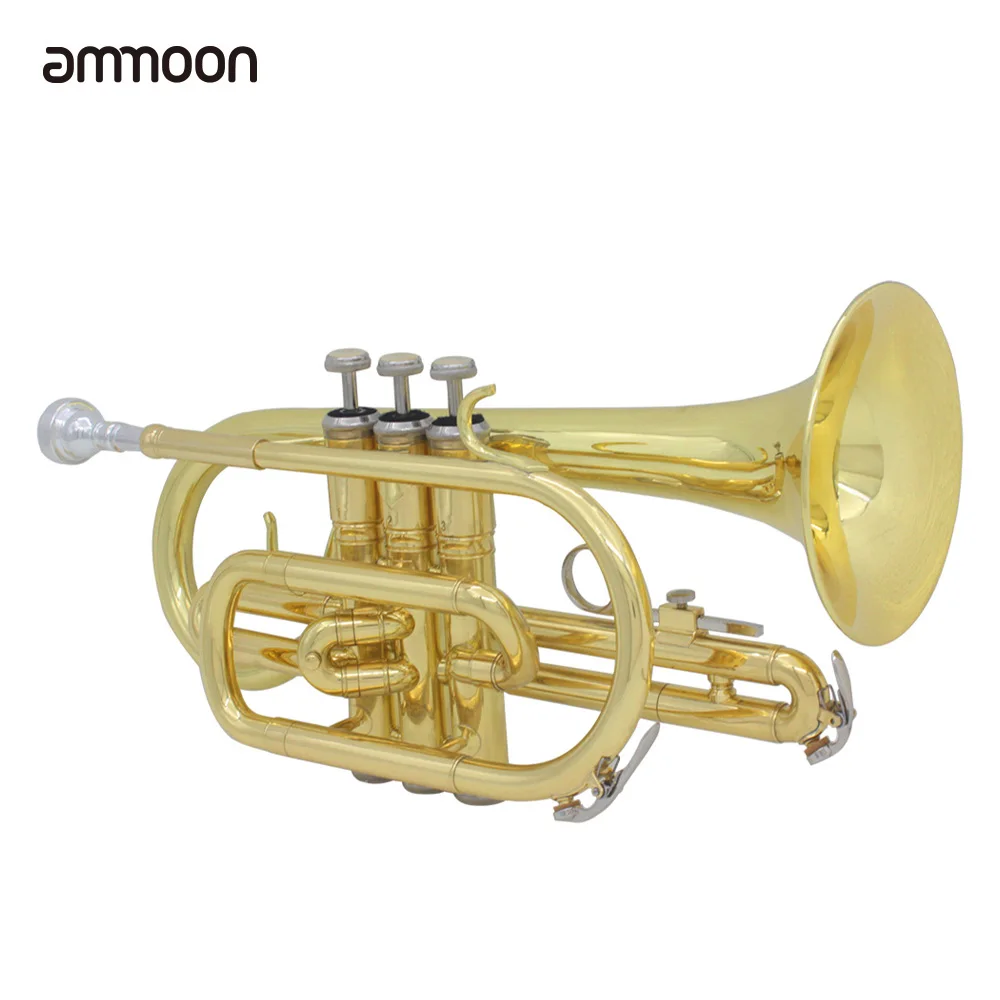 ammoon Professional Bb Flat Brass Instrument with Carrying Case
