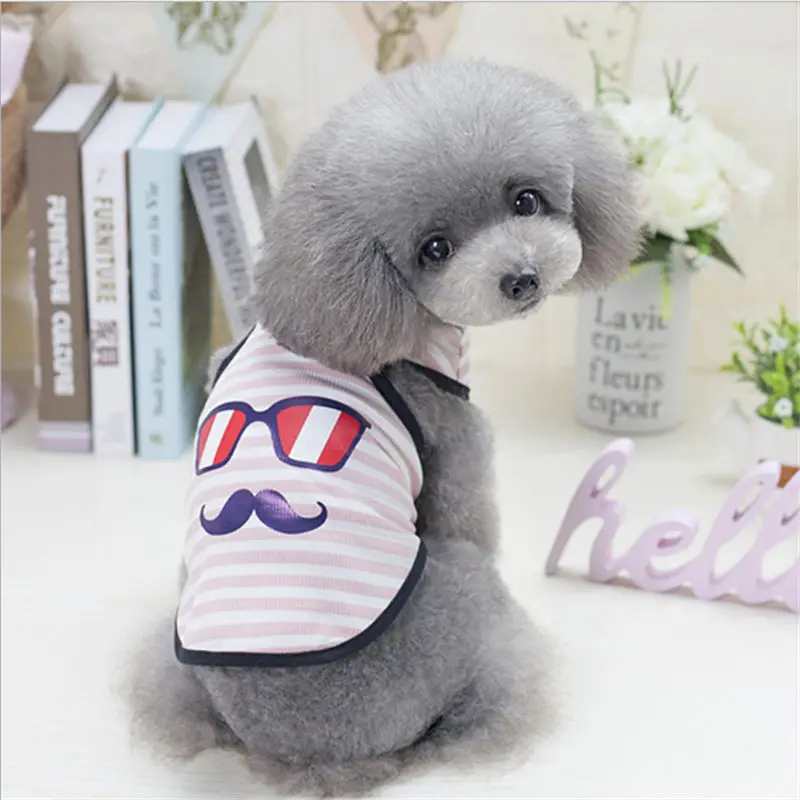 QQ20190301142828