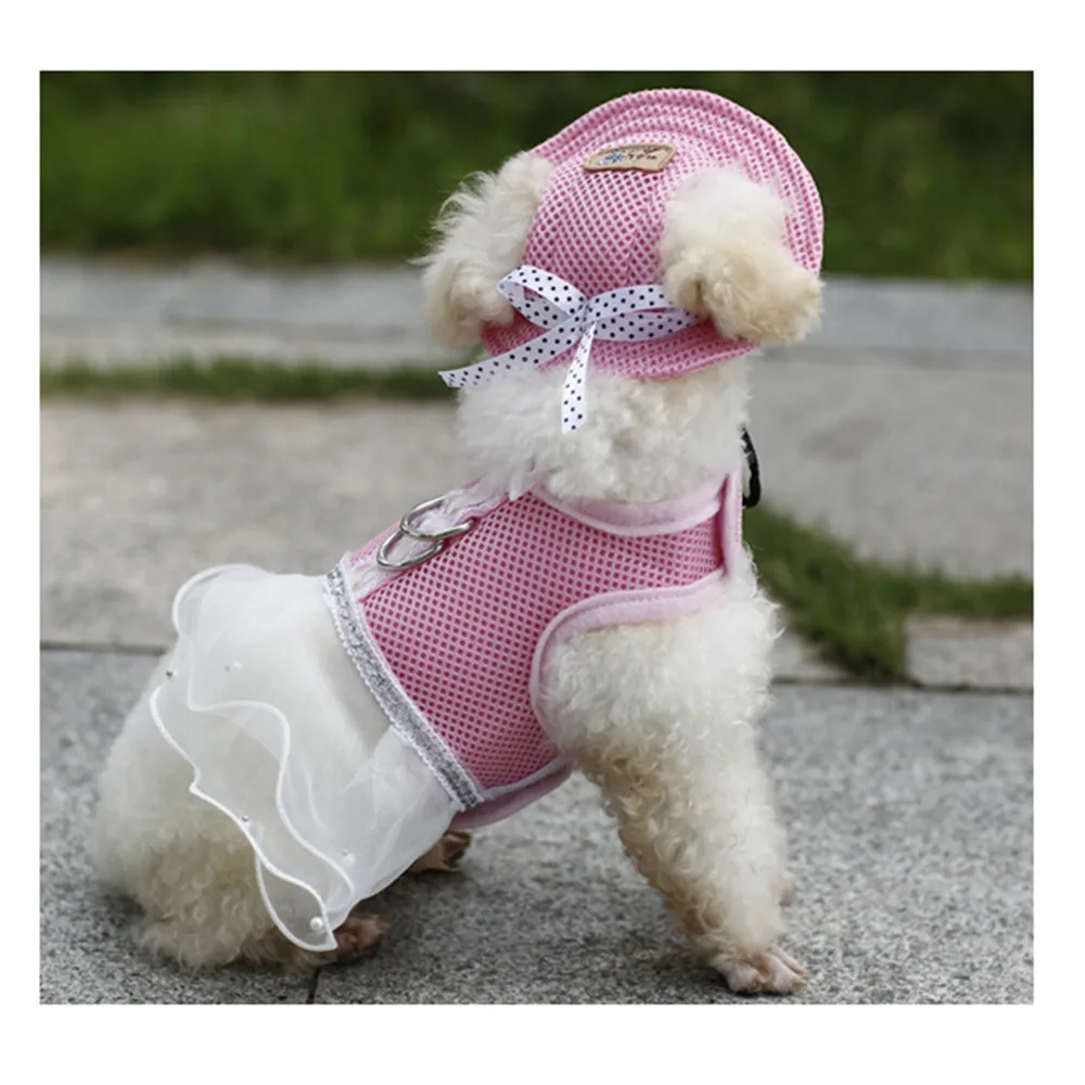 pet hat - Lindsey (2) 1000x1000