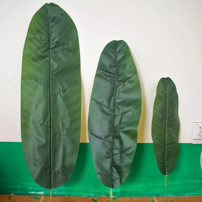 800+ Gambar Daun Tropis HD Terbaru 800+ Gambar Daun Tropis HD Terbaru