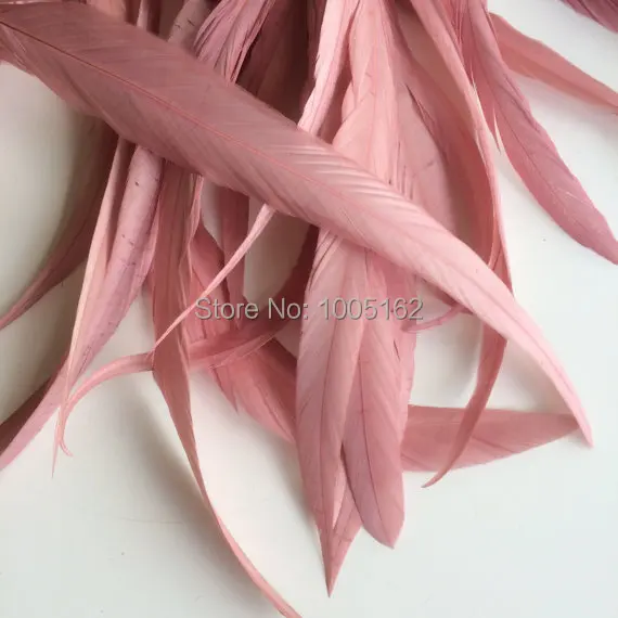 rose pink-2.jpg