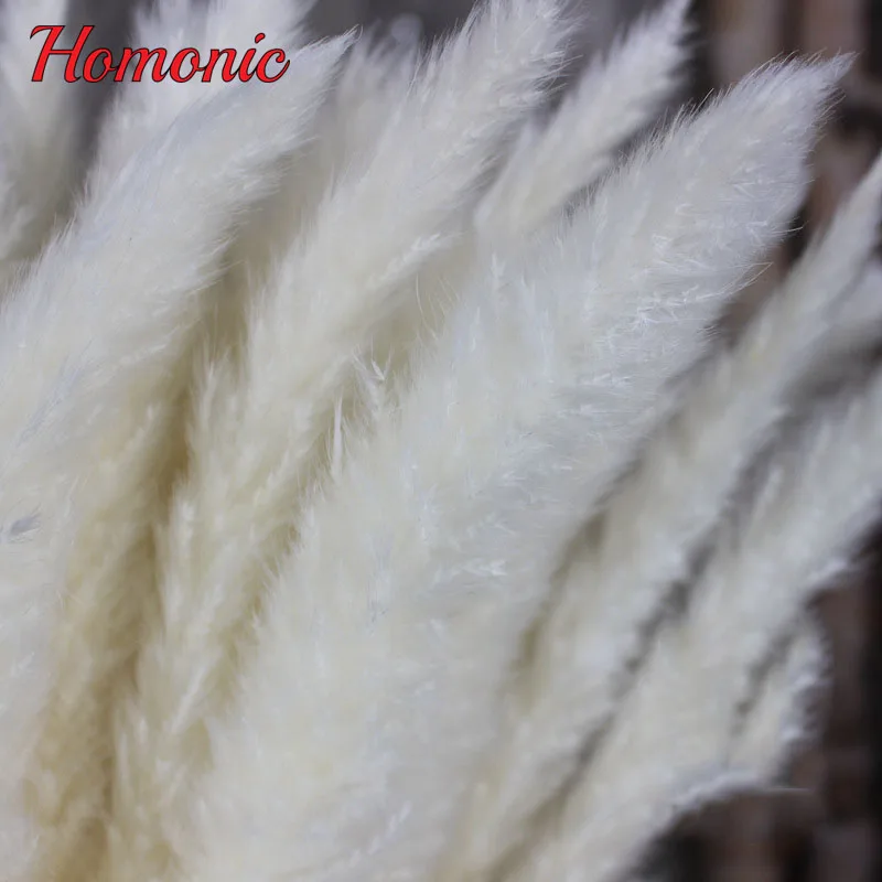 Jual 15 Pcs Banyak Alami Bunga Kering Reed Tumbuhan Alami Dekorasi untuk Pesta Rumah Pernikahan Dekorasi DIY Bunga Buket Jual 15 Pcs Banyak Alami Bunga Kering Reed Tumbuhan Alami Dekorasi untuk Pesta Rumah Pernikahan Dekorasi DIY Bunga Buket