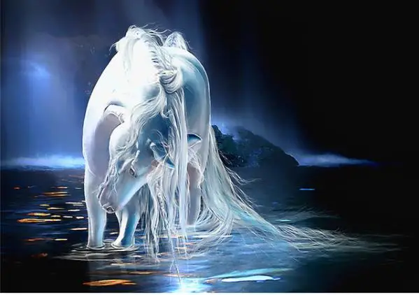 36020180825194312184