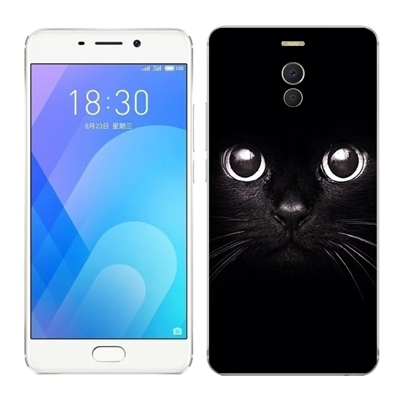 For Meizu X8 16X Case Soft TPU Capas Fashion Painted Back Cover on For Meizu M2 M3 M5 M6 Note Phone Cases Silicone Bumper Fundas - Цвет: 13