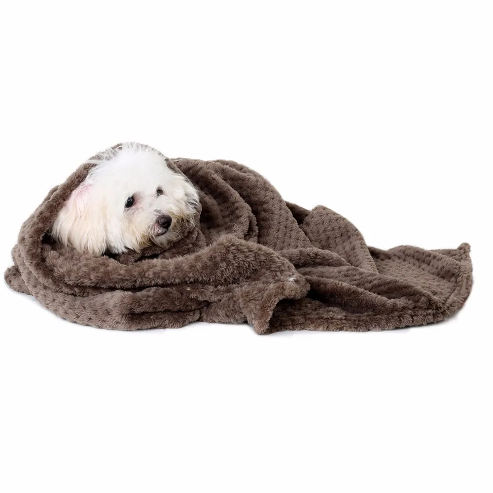 Cute and Cozy Pet Blanket