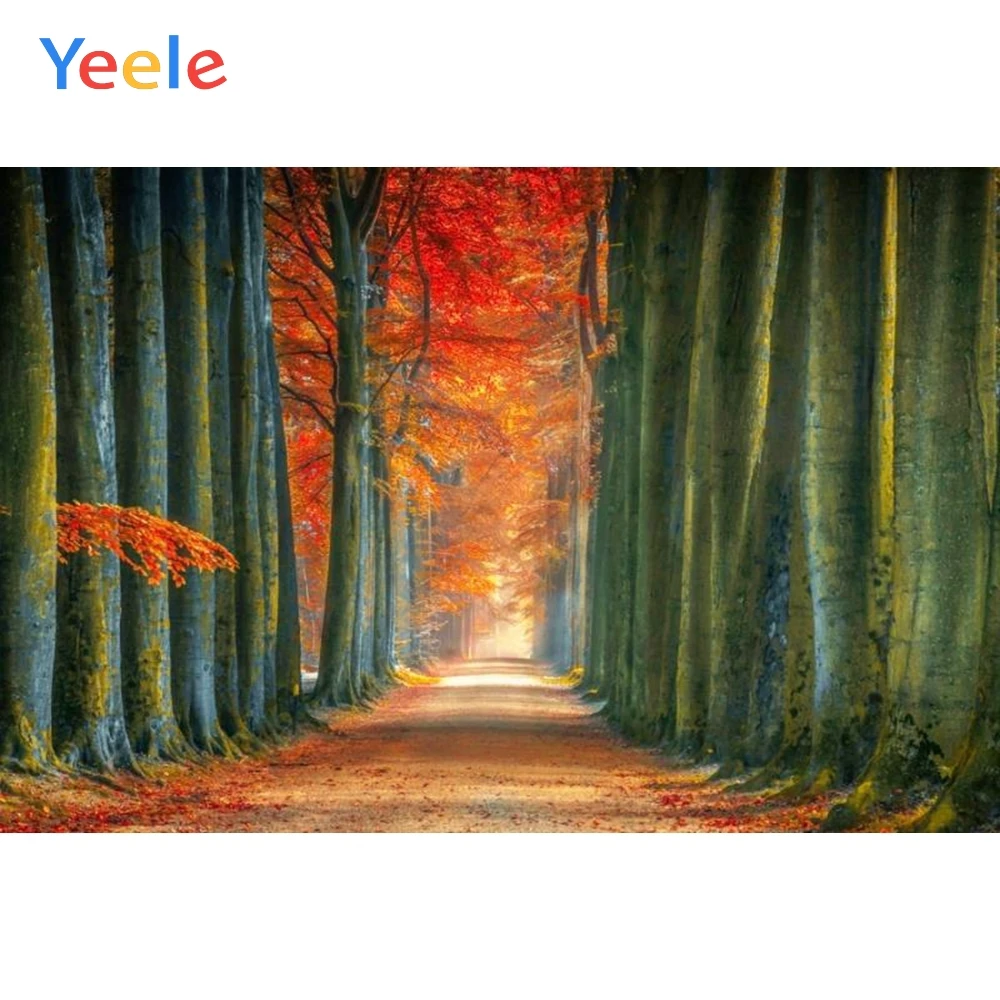 

Yeele Autumn Forest Maple leaves Scene Portrait Photography Backgrounds Customized Photographic Backdrops For Photo Studio