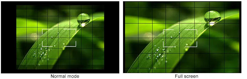 Camera 5D II Mode2.jpg