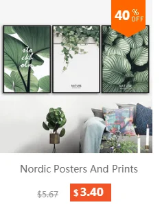 Акварельный Тигр Тукан зеленый лес настенная живопись на холсте скандинавские плакаты и принты настенные картины для гостиной домашний декор