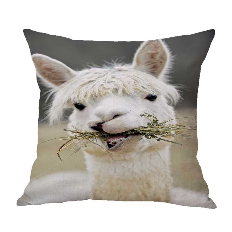 

Alpaca Pillow Belle Wedding Decorative Cushion Cover Pillow Case Customize Gift High-Quility By Lvsure For Sofa Seat Pillowcase