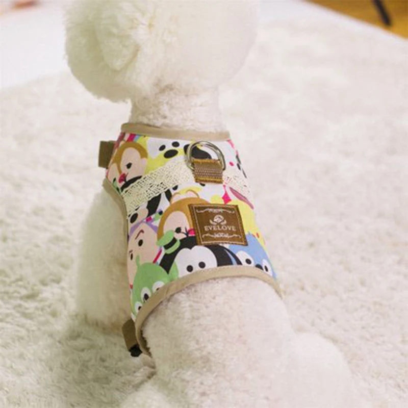 chihuahua dog accessories (10)