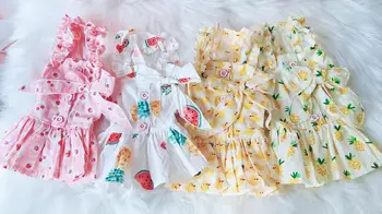 

2019 cute bow fruit skirt strawberry watermelon pineapple duck duck spring and autumn pet clothes