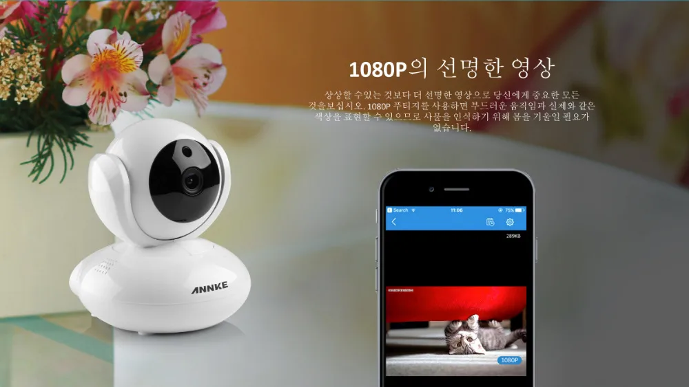 ANNKE ip-камера s Беспроводная 1080 P ip-камера безопасности 2.0MP WiFi ip-камера безопасности Детский монитор Pan & Tilt комплект камер для видеонаблюдения