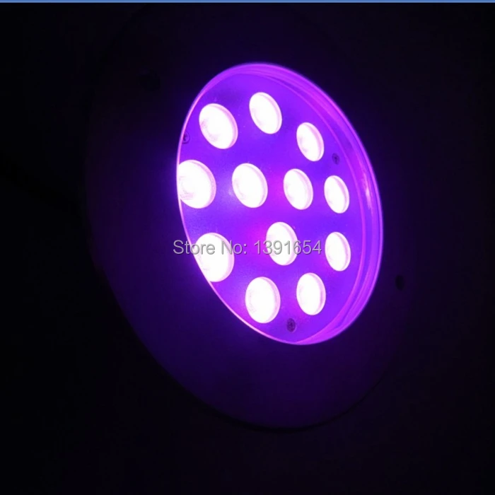 inground light401.jpg