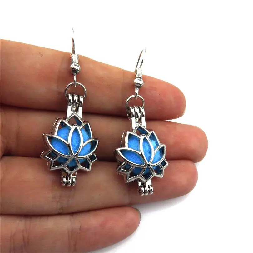 

Aromatherapy Dangle Earrings Flower Dolphin Elephant Charm Bead Pearl Cage Locket Perfume Statement Drop Earring for Women 21637