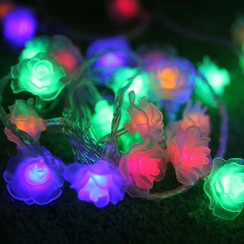10m 100 LED rose 1