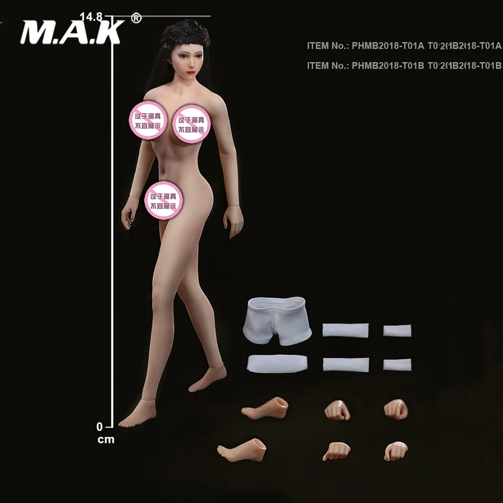 

TBLeague 1/12 Scale Sexy Super-Flexible Female Seamless Body Head Sculpt Doll Model Pale/Suntan Colors for Fans Collection Gifts