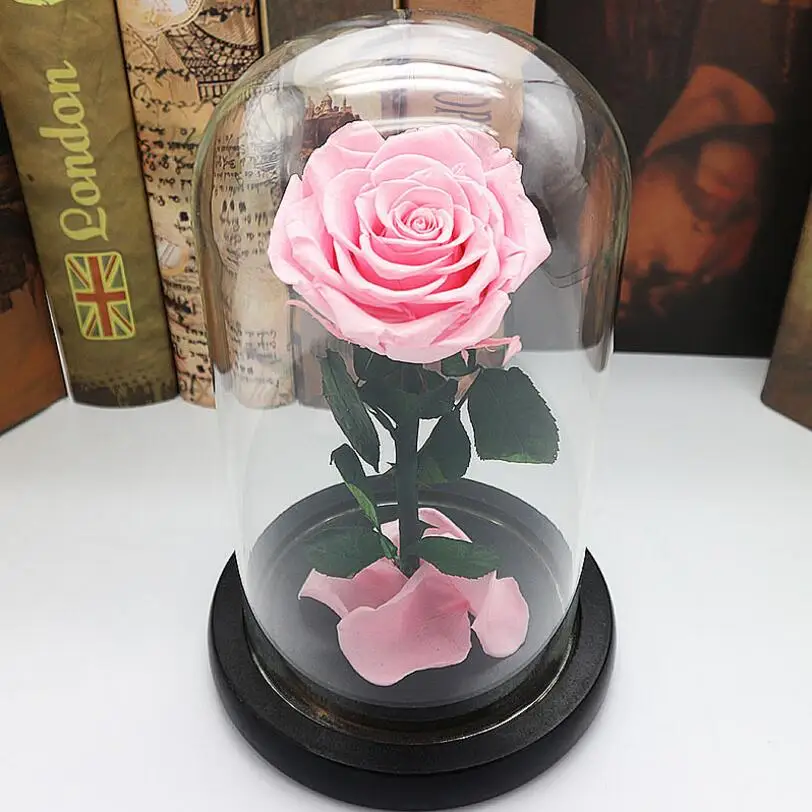 Pink Rose Immortal Preserved Forever Flower Festive Fresh In Green Light Pink Purple Red Rose