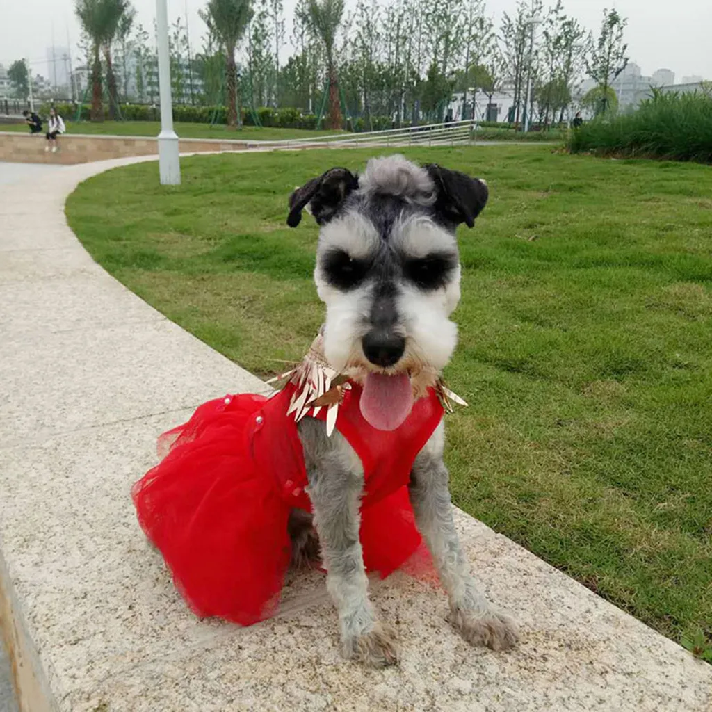 

Dog Clothes For Small Cats Dogs Dress Fashion Pet Dog Spring And Summer Breathable Openwork Shining Tutu Anti-mosquito Skirt#p4