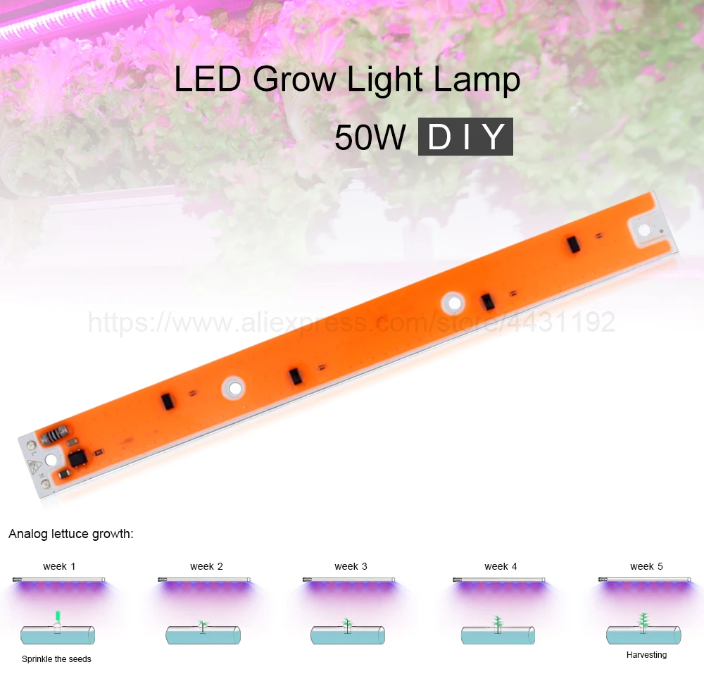 Borbede 50 вт DIY COB светодиодный светильник для выращивания растений и рассада цветов