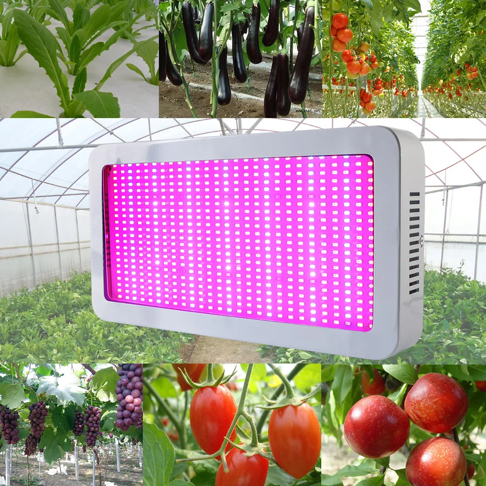 300/600/800/1000W светодиодный Grow светильник полный спектр высокой Мощность диодный чип fitolampy phytoLamp для комнатных растений парниковых Vegs гидро
