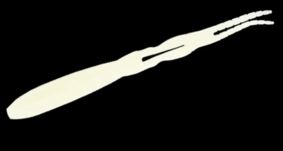 S3116-NW101