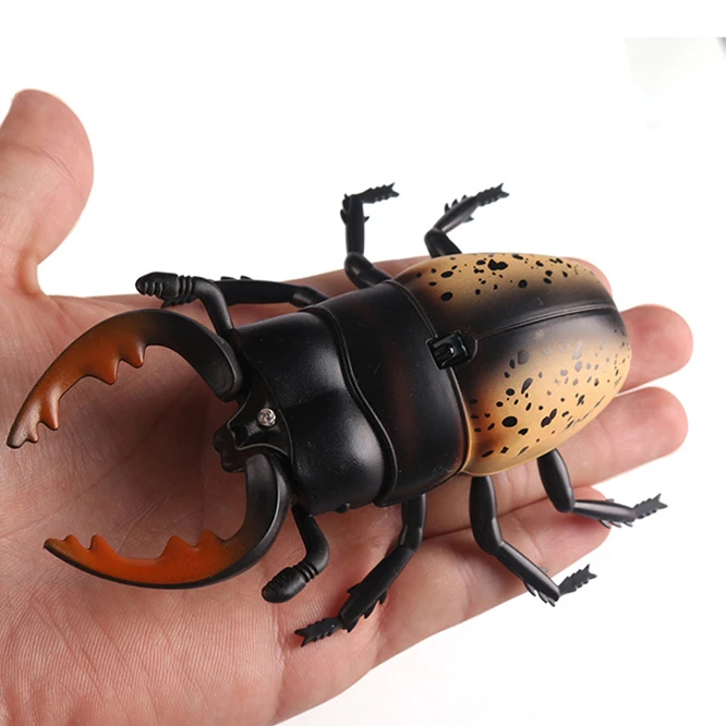 rc animal (8)