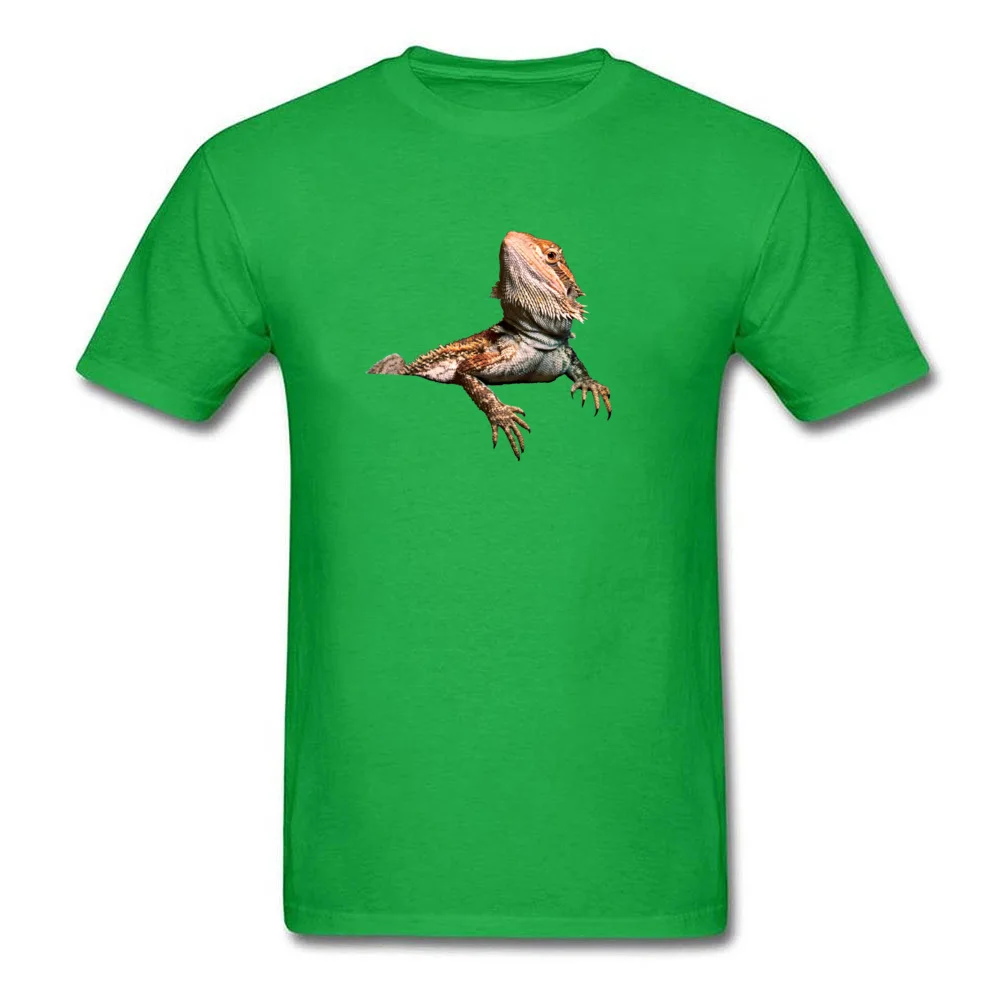 Bearded-Dragon-PNG-Transparent-Image_green