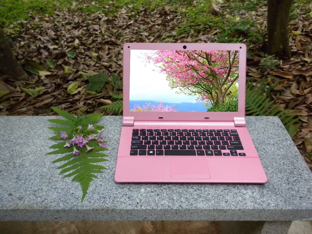 12 "Мини ноутбук Windows10 ультрабук Быстрый 64 Гб/128 Гб SSD процессор intel четырехъядерный школьный компьютер розовый белый Испанский Русский