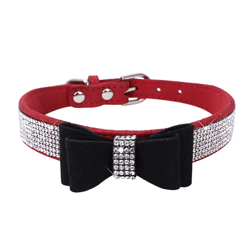 puppy dog collar and lead