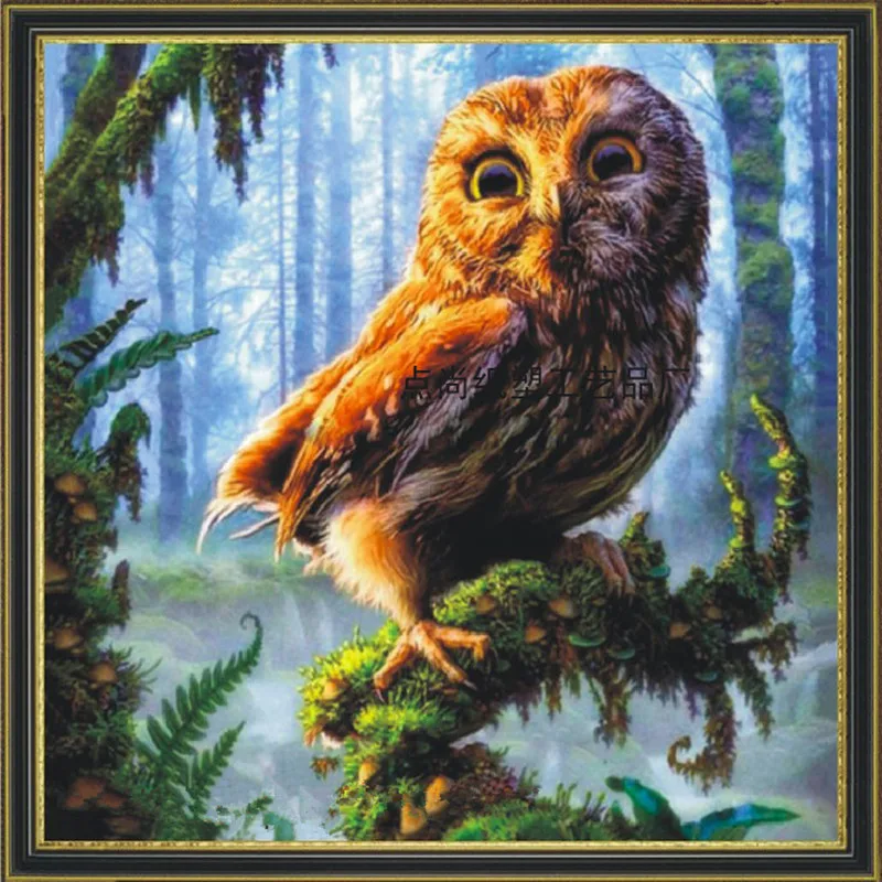 5D owl magic can not drill diamond painting |