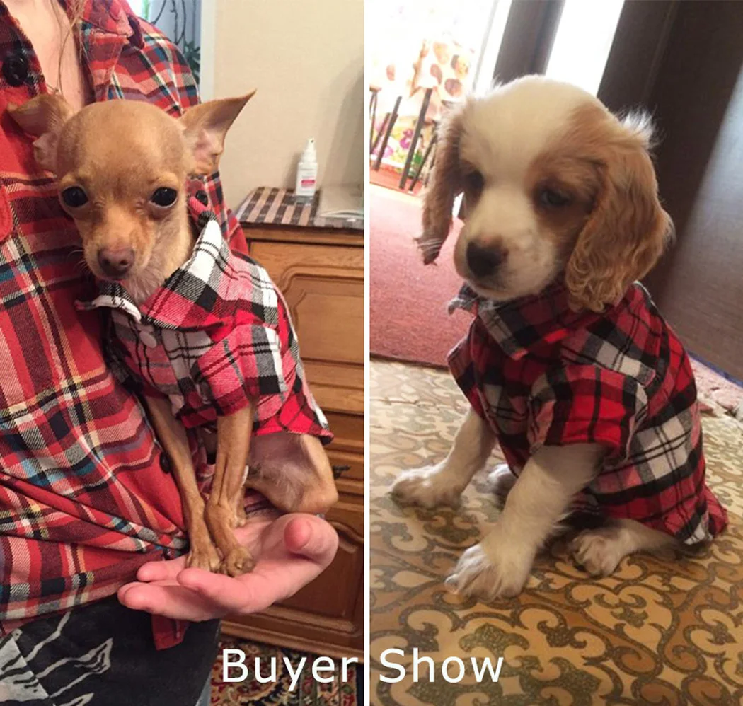 Legendog футболка для щенка жилет в клетку полосатая питомца хлопковая сетка кошек