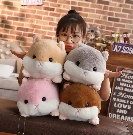 TIM20180805143450