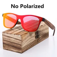 NO Polarized
