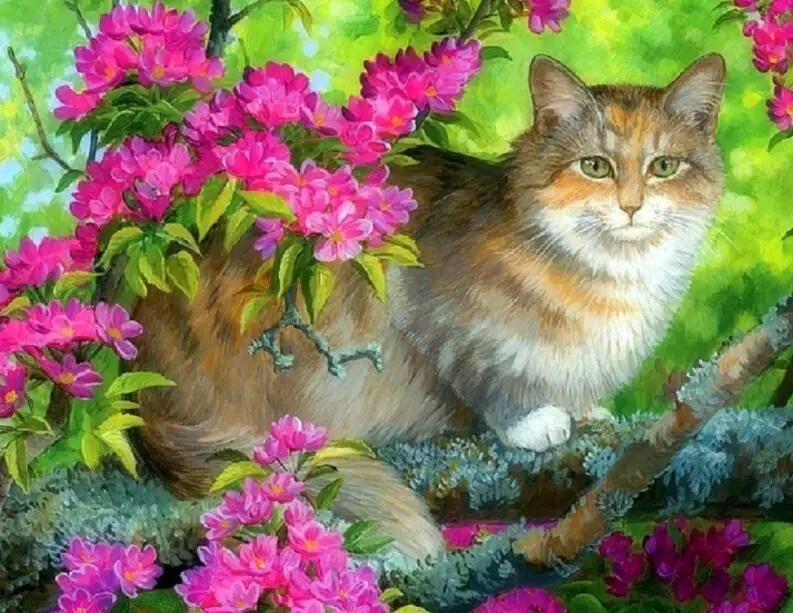 QQ截图20190530093306