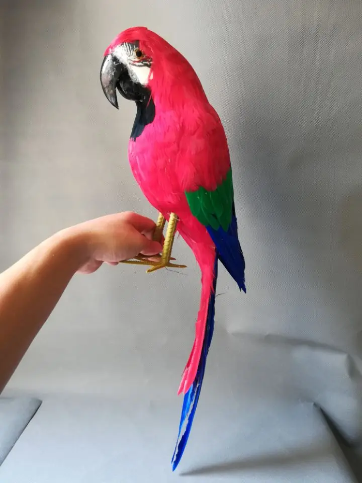 real life Bird coloured red feathers parrot model large 65cm parrot garden decoration filming prop toy gift h1478 1 32 new civic type r mugen rr alloy car model collection decoration racing model light toy car for boy toy gifts for childs