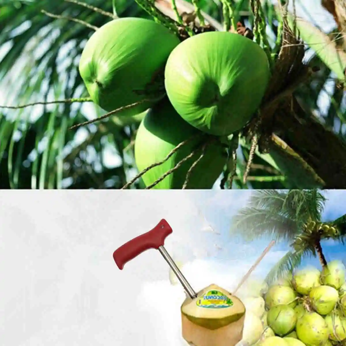 1PC Stainless Steel Red Handle Coconut Opener Tool Coco Water Punch Tap Drill Straw Open Hole Cut Gift Fruit Openers Tools