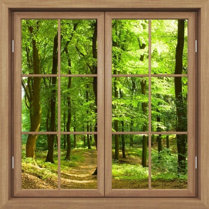 wall-murals-brown-window-closed-beech-forest-in-the-summer.jpg