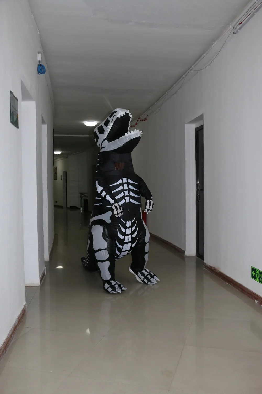 Giant Skeleton Inflatable Dinosaur (5)