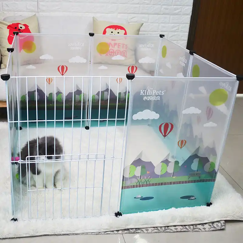 chihuahua playpen