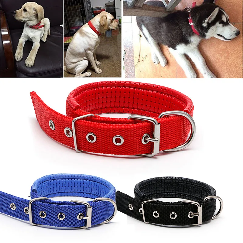 nice 1Pc Adjustable Safety Dog Collars 3Colors Sponge Foam Doggie Pet