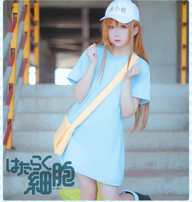 SDM038-1