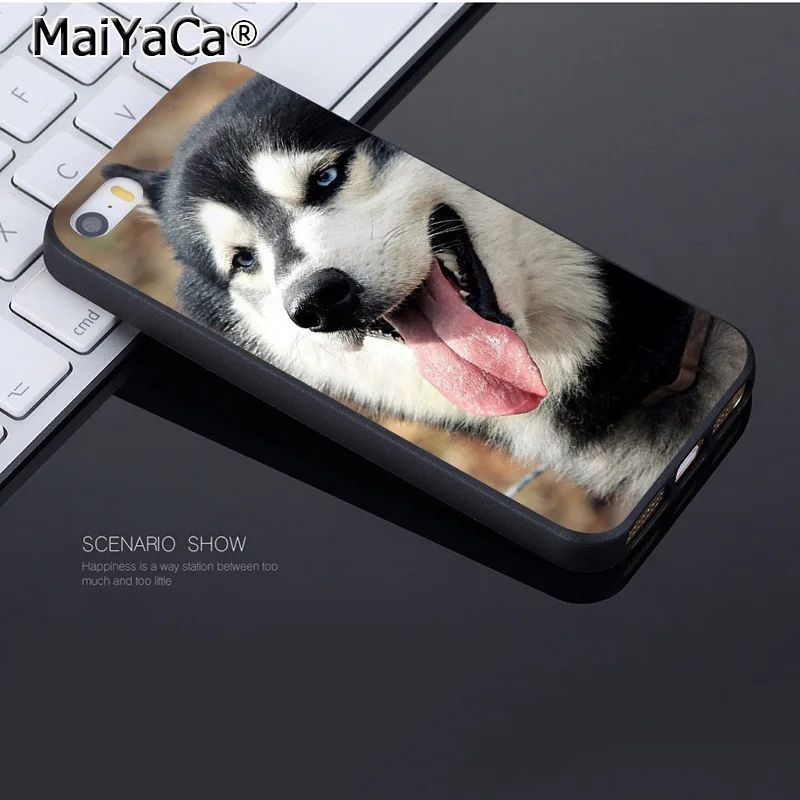 Чехол для iphone 12 11 Pro 8 7 6 6S Plus X 5 XS XR XSMAX|Бамперы| |