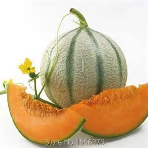 Сочные и сладкие 50+ Heirloom Charentais Cantaloupe semillas~ rganic дыни фрукты sementes