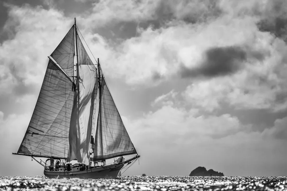 Free shipping,black and white yacht in the sea,regatta,Poster HD HOME