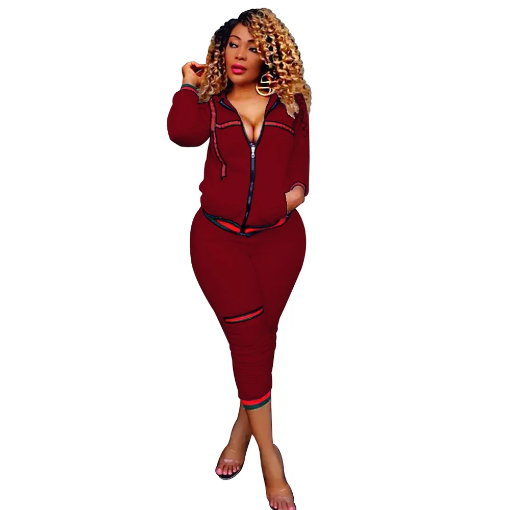 

2017 New Fashion 2 Piece Clothing Set Women zipper pocket top Pants Suit ladies Sexy Leisure Two Piece Tracksuit