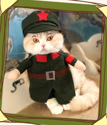 9001381275_937617814