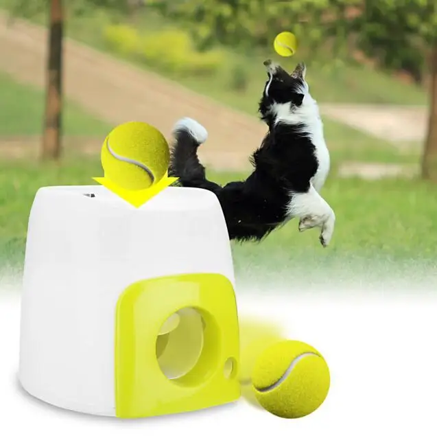 automatic fetch toy