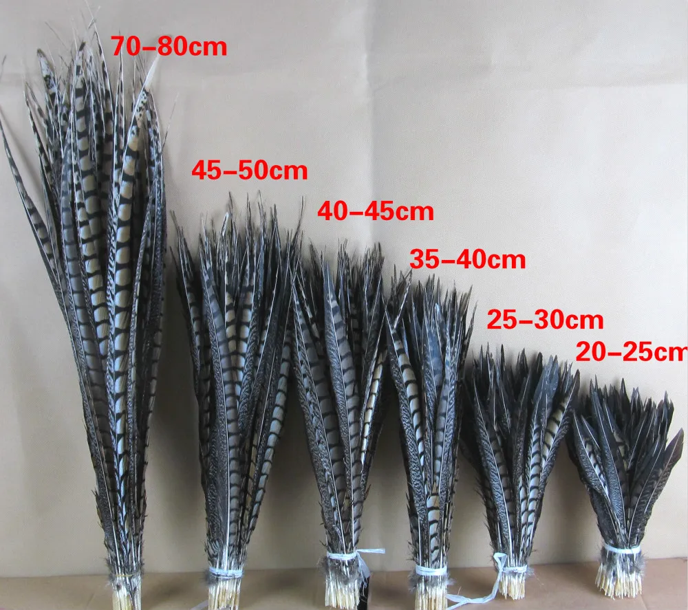 

5pcs Diy feathers Copper chicken pheasant tail hair Peking Opera drama stage performance decoration material long feather AC088